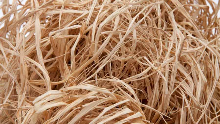 natural eco raffia straw