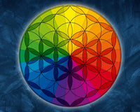 colourful chakra medicine wheel