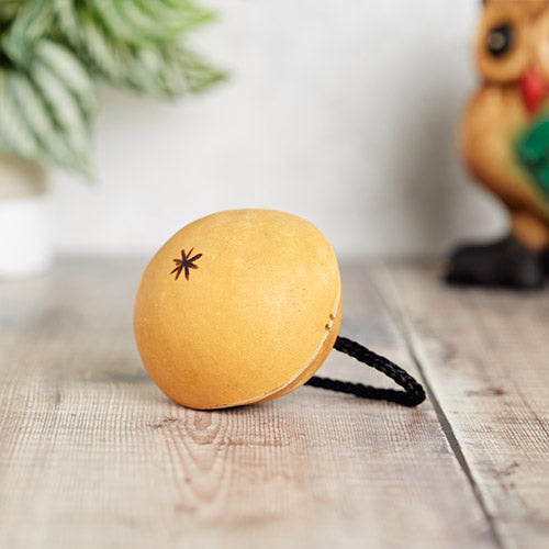 small coco gourd shaker with rope