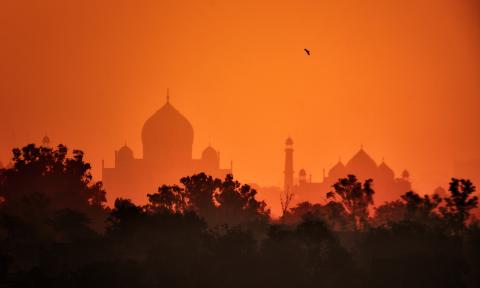 Orange Sky at Taj Mahal with Trees and Morning Afterglow