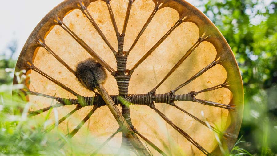 Traditional Large Shamanic Animal Hide Drum with Beater and Green Foliage