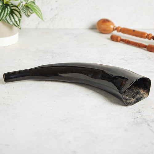 Black water buffalo horn musical instrument from Vietnam