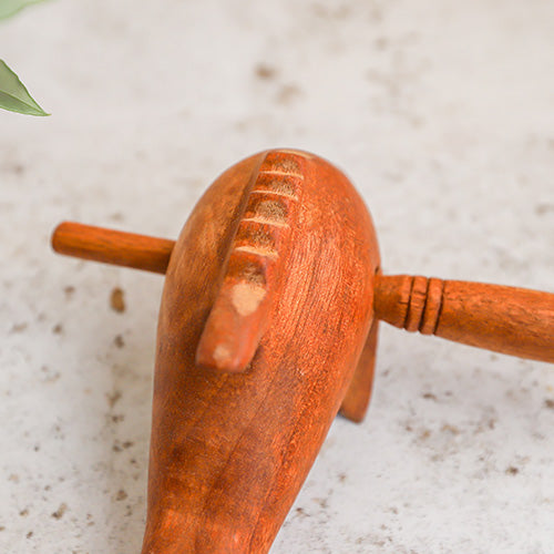 Close-up of a Wooden Dolphin Whistle Guiro