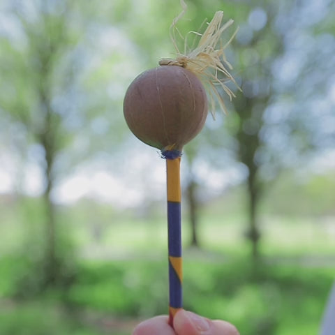 Raffia shaker sound demonstration