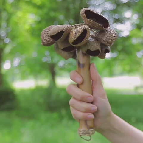 Raha Seed Stick Percussion Shaker Sound Demonstration