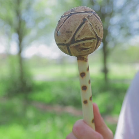 African gourd shaker with wooden handle, Kenyan percussion instrument sound demonstration